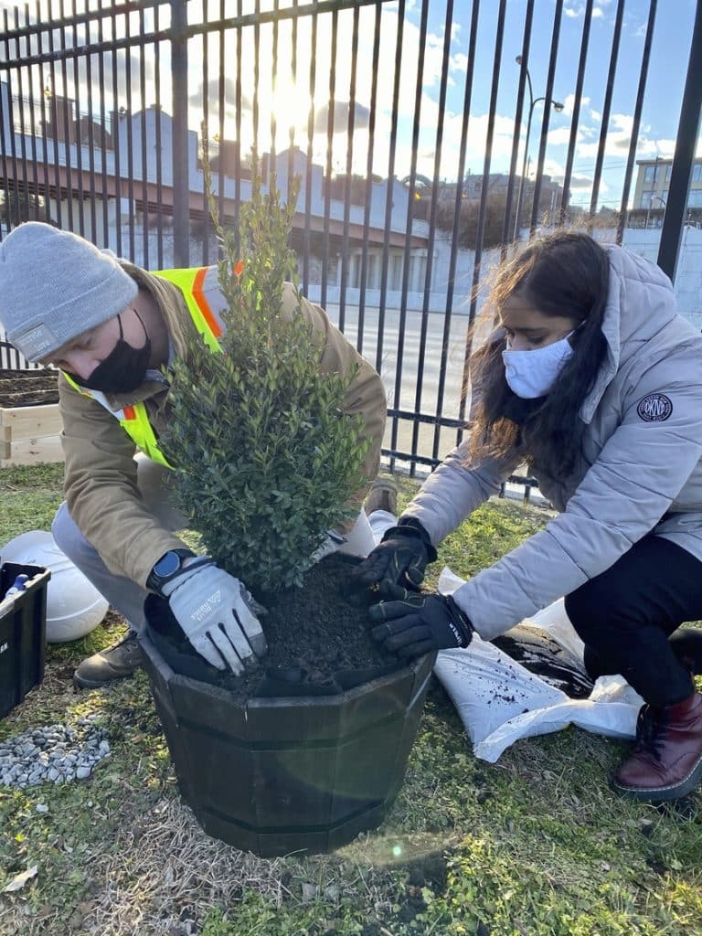 OL_LAF_OL_LAF_N10_medium OL_LAF_OL_LAF_N10_medium