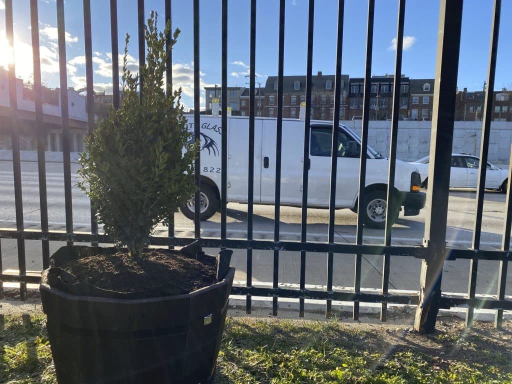 OL_LAF_OL_LAF_N11_medium OL_LAF_OL_LAF_N11_medium