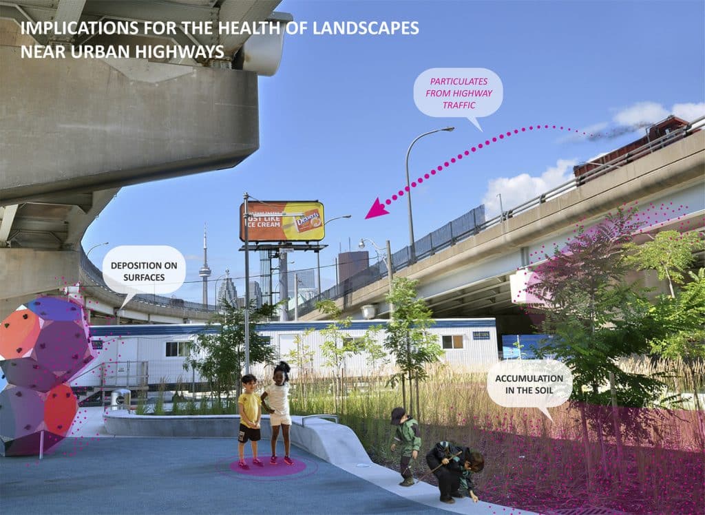 OL_LAF_OL_LAF_N21_medium OL_LAF_OL_LAF_N21_medium