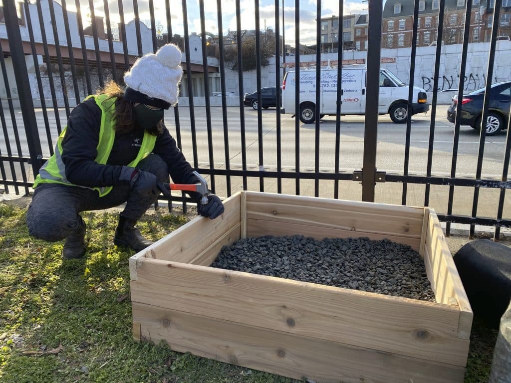 OL_LAF_OL_LAF_N2_medium OL_LAF_OL_LAF_N2_medium