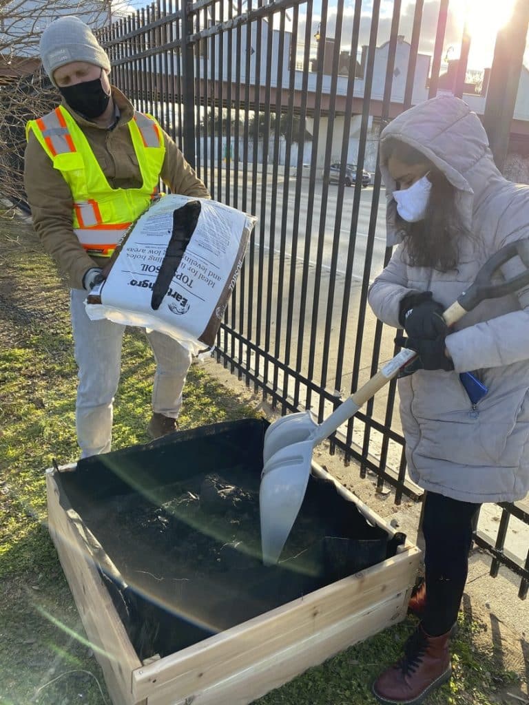 OL_LAF_OL_LAF_N3_medium OL_LAF_OL_LAF_N3_medium