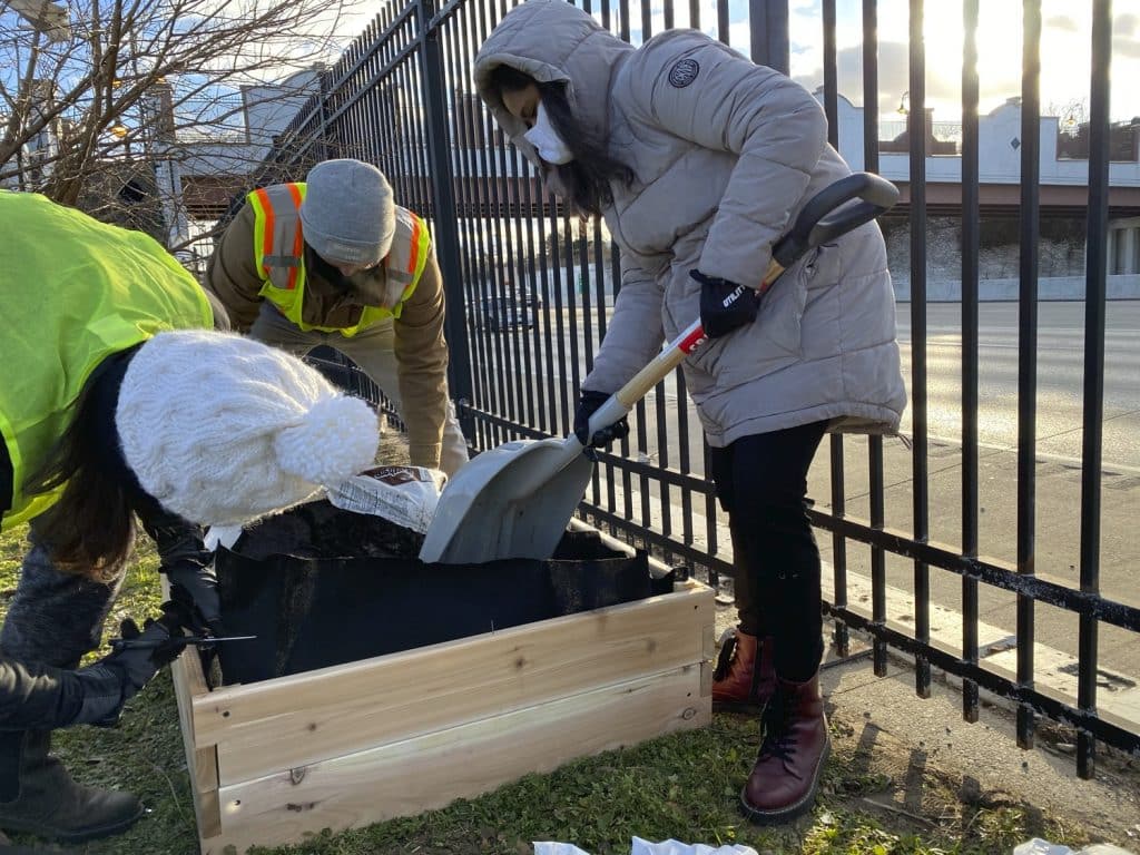 OL_LAF_OL_LAF_N4_medium OL_LAF_OL_LAF_N4_medium