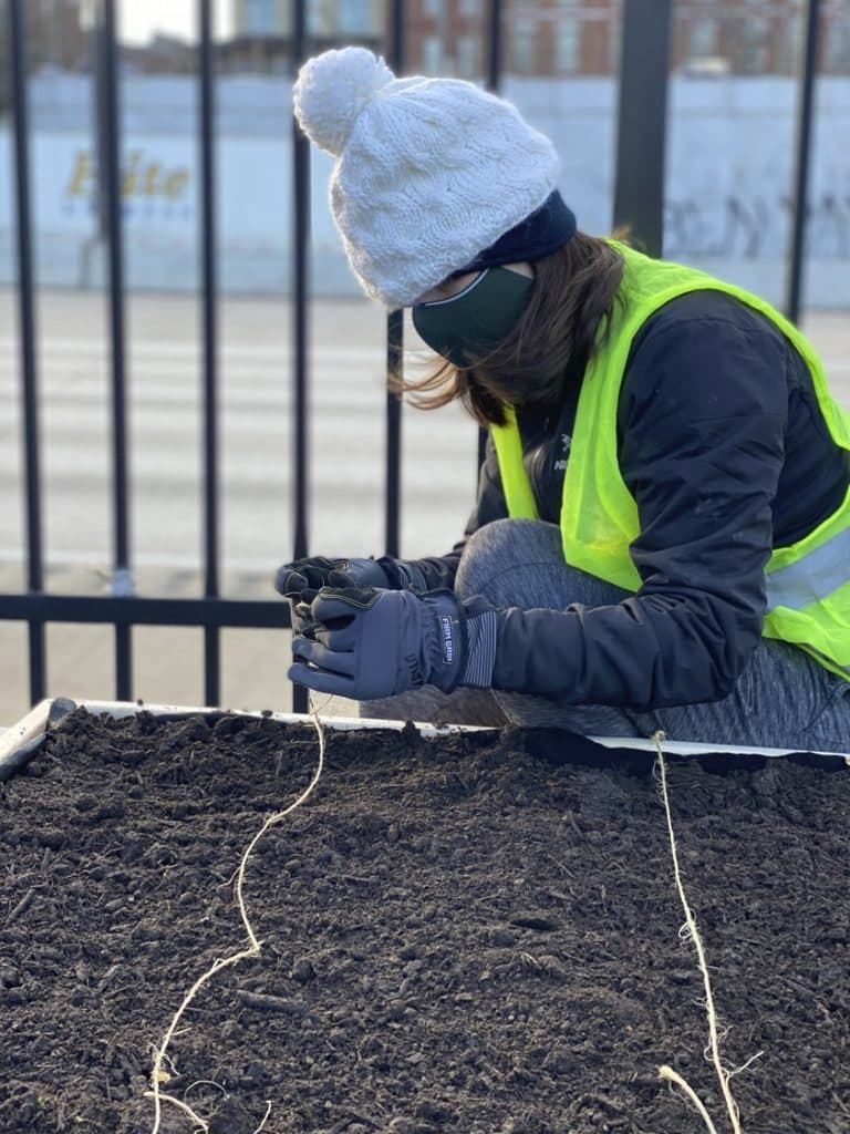 OL_LAF_OL_LAF_N7_medium OL_LAF_OL_LAF_N7_medium