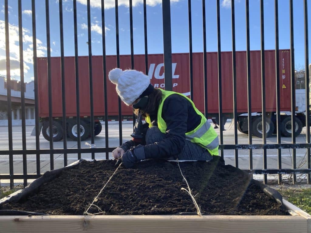 OL_LAF_OL_LAF_N8_medium OL_LAF_OL_LAF_N8_medium