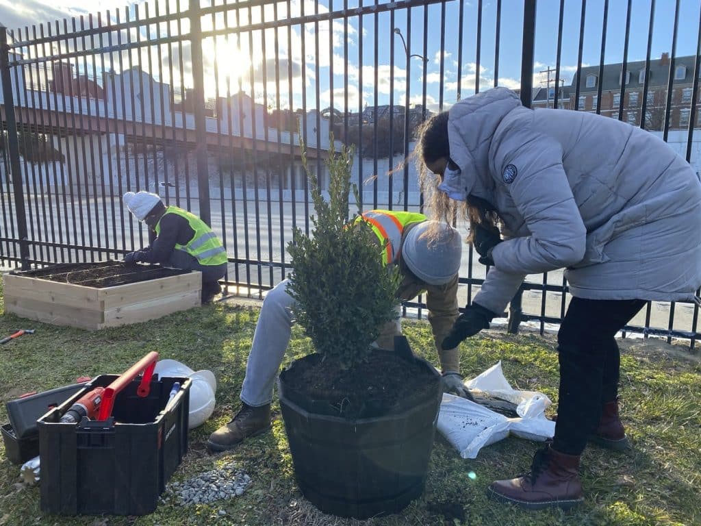 OL_LAF_OL_LAF_N9_medium OL_LAF_OL_LAF_N9_medium