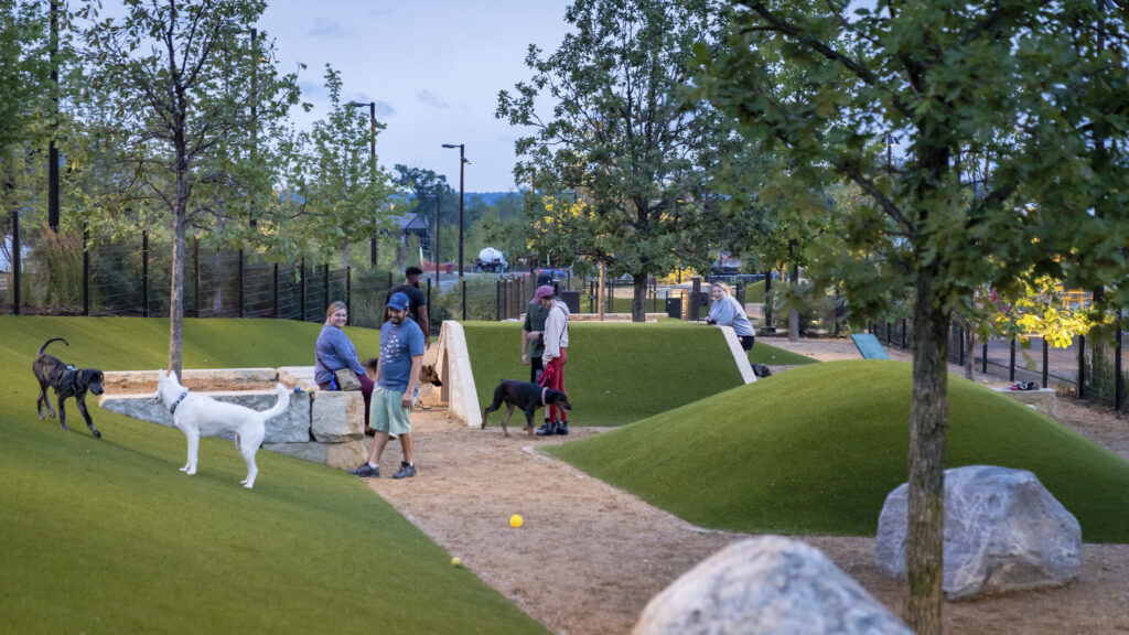 OM_GLM_N293_medium OM_GLM_N293_medium