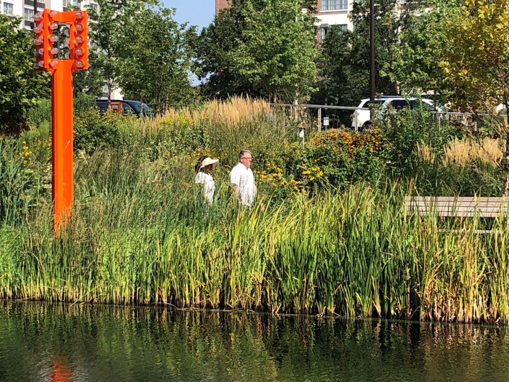 OM_GLM_N336_medium OM_GLM_N336_medium