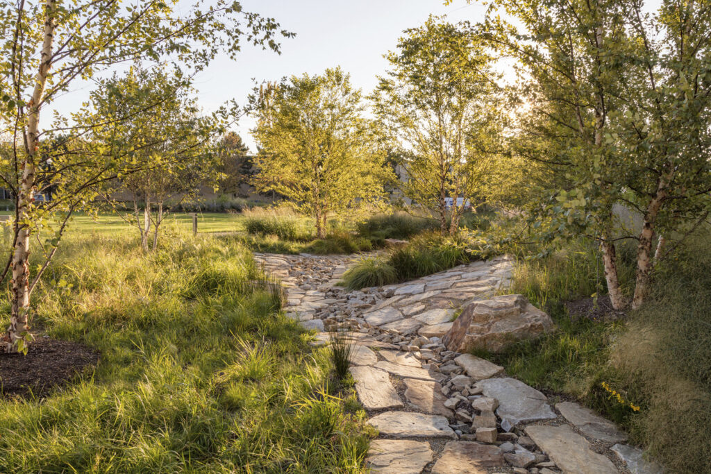 PH_ADM_N13_medium PH_ADM_N13_medium