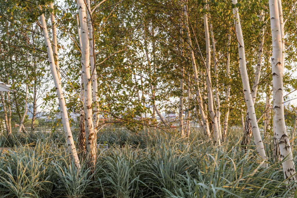 The Office of James Burnett; OJB The Office of James Burnett; OJB