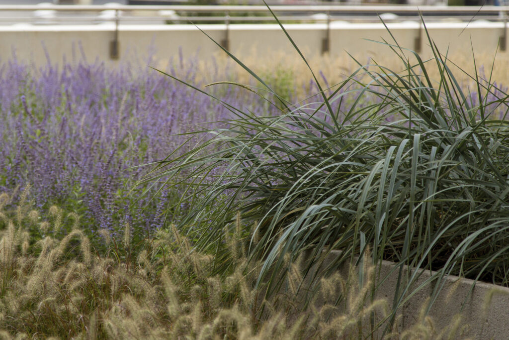 The Office of James Burnett; OJB The Office of James Burnett; OJB