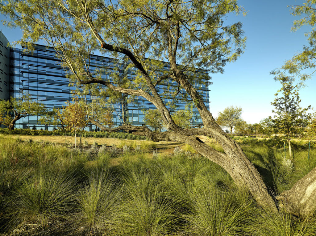 PR_HOR_N3_medium PR_HOR_N3_medium