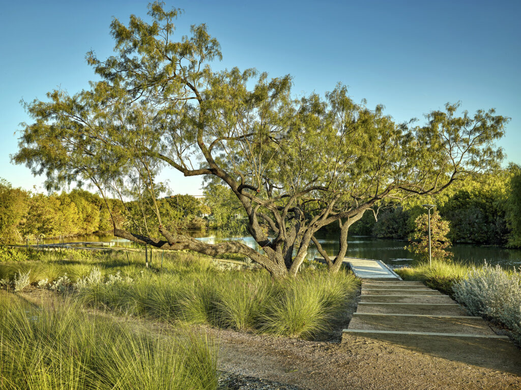 PR_HOR_N4_medium PR_HOR_N4_medium