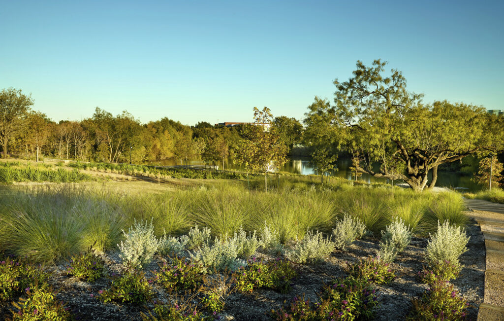 PR_HOR_medium PR_HOR_medium