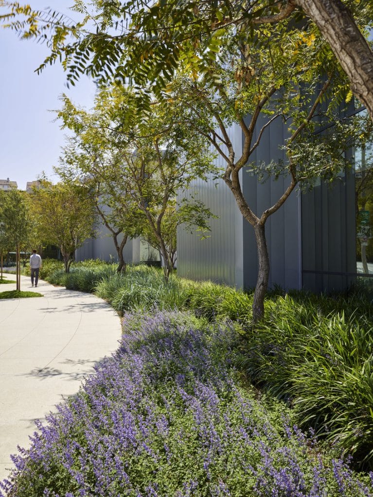 PV_P45_N7_medium PV_P45_N7_medium