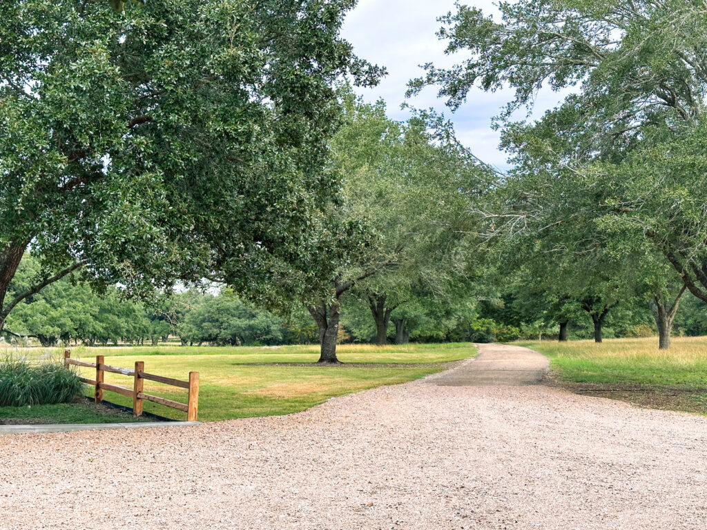 RP_RAN_N10_medium RP_RAN_N10_medium