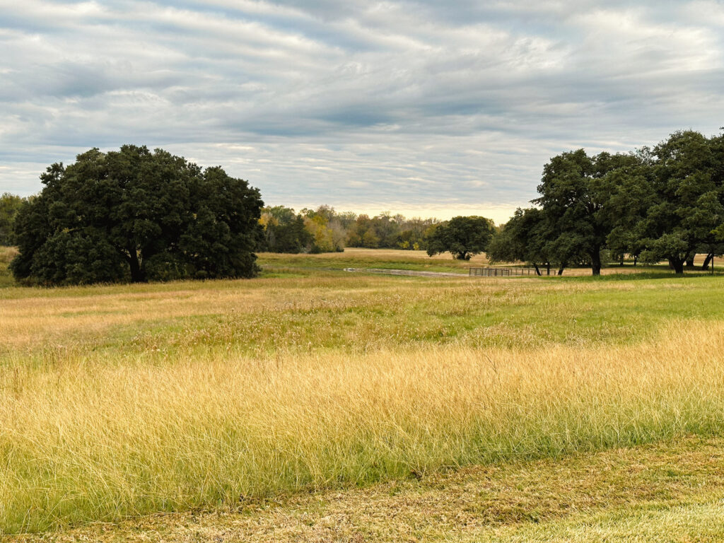 RP_RAN_N7_medium RP_RAN_N7_medium