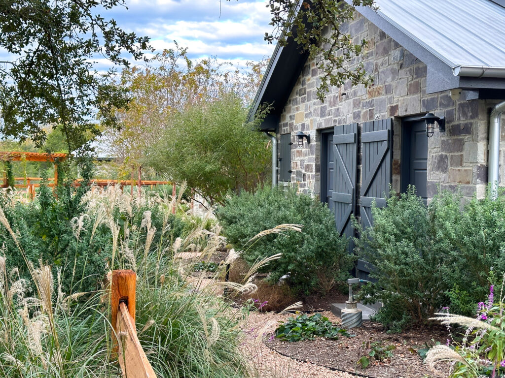 RP_RAN_N8_medium RP_RAN_N8_medium