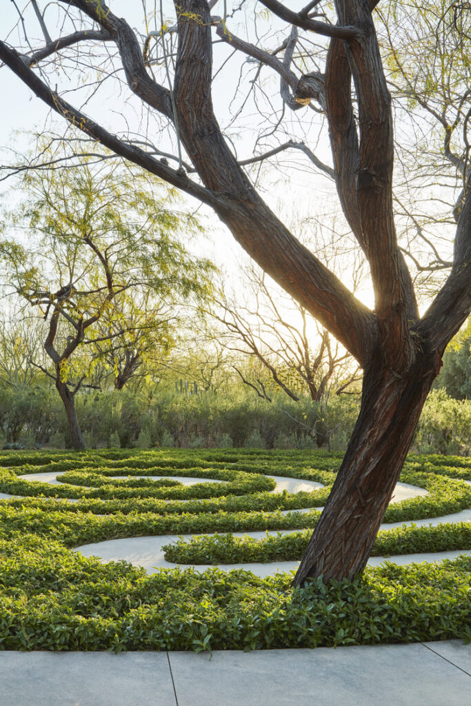 SN_LND_N101_medium SN_LND_N101_medium