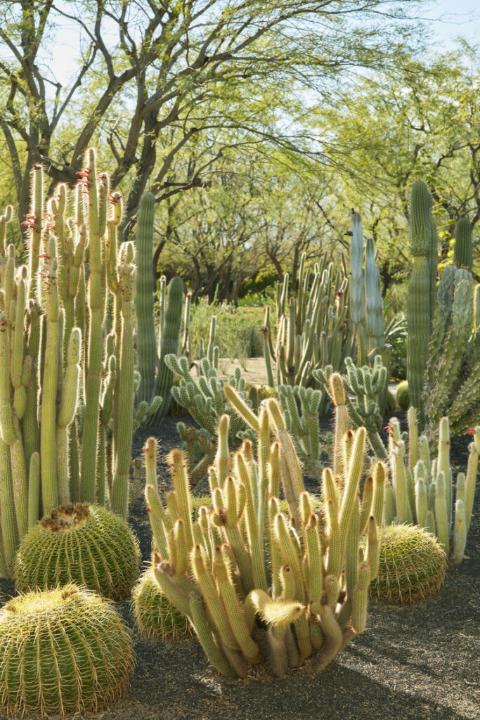 SN_LND_N102_medium SN_LND_N102_medium