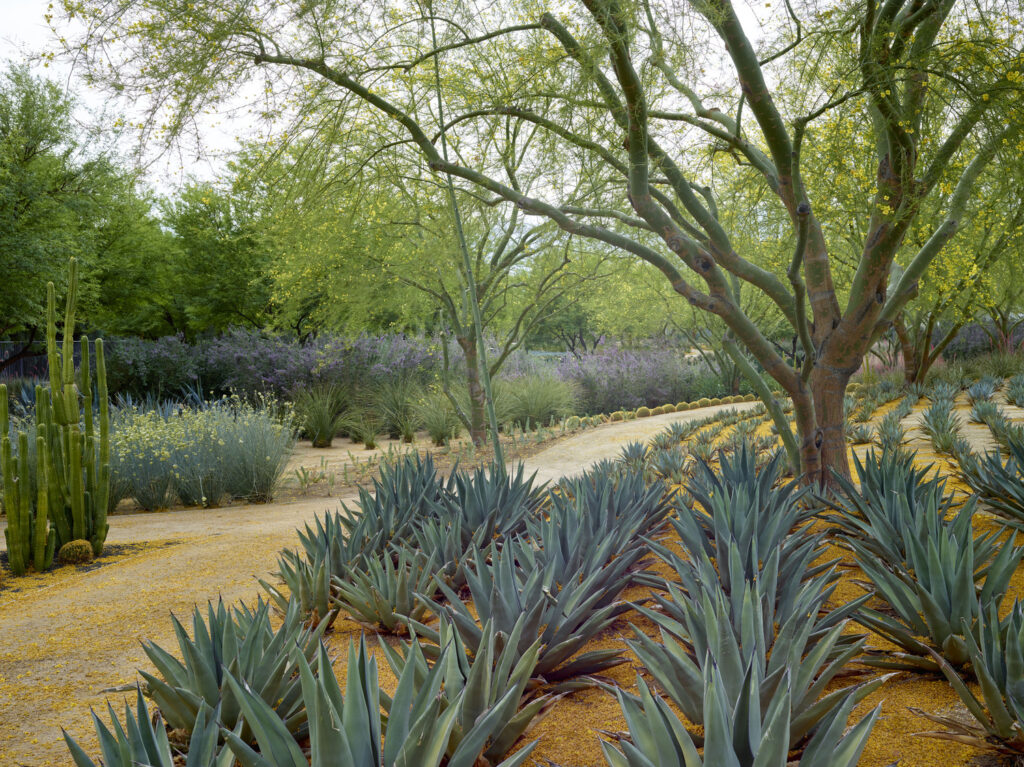 Sunnylands Sunnylands