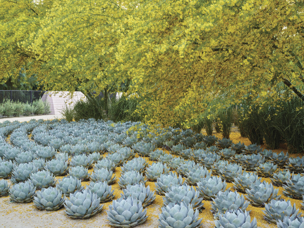 SN_LND_N2_medium SN_LND_N2_medium