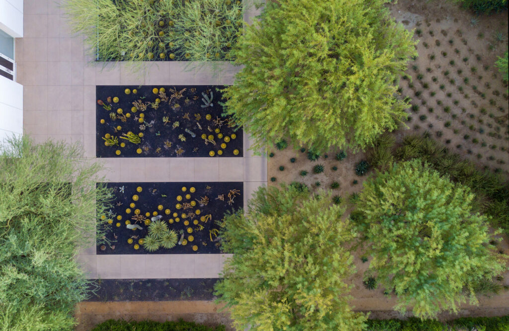 SN_LND_N57_medium SN_LND_N57_medium