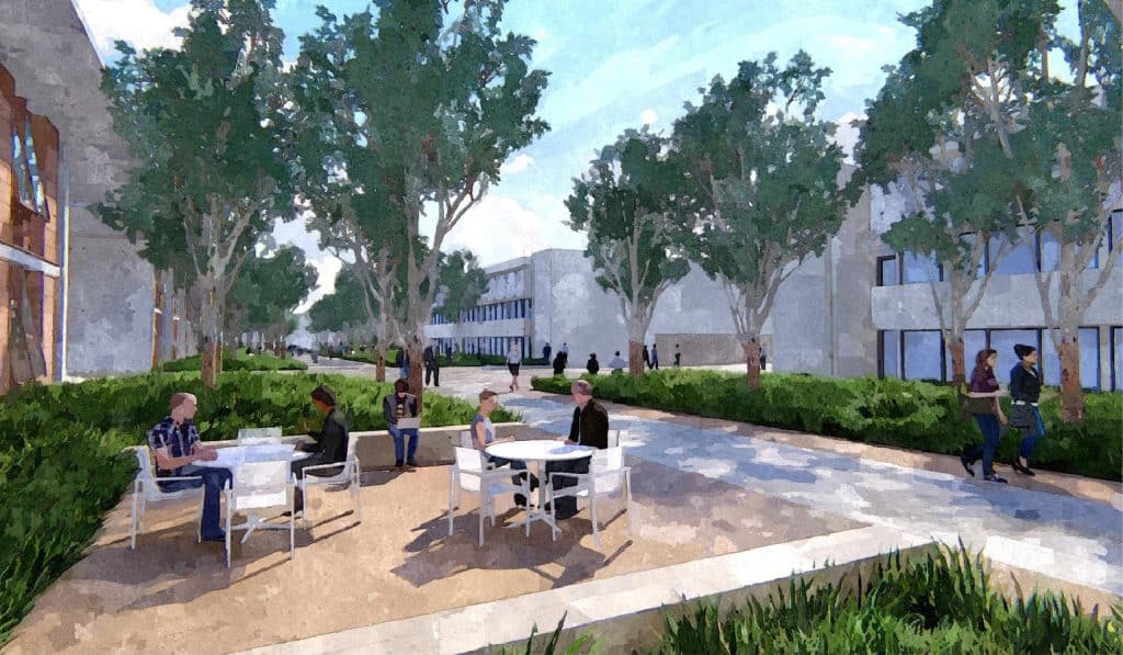 Salk_Image-02 Salk_Image 02