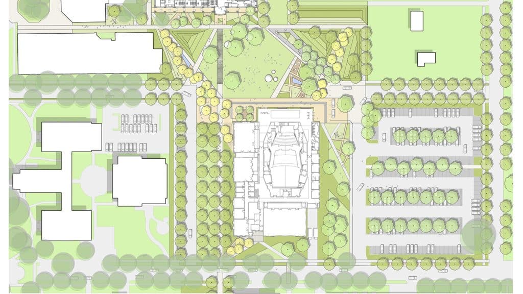 TC_MUS_N58_medium TC_MUS_N58_medium