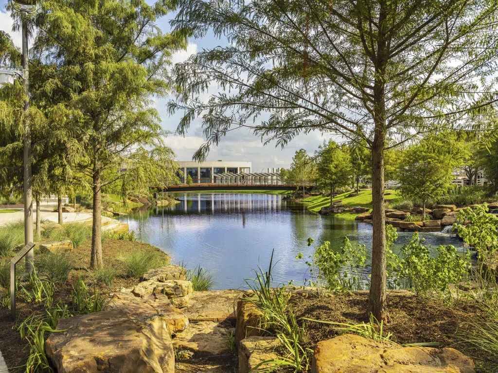 TM_PRK_N80_medium TM_PRK_N80_medium