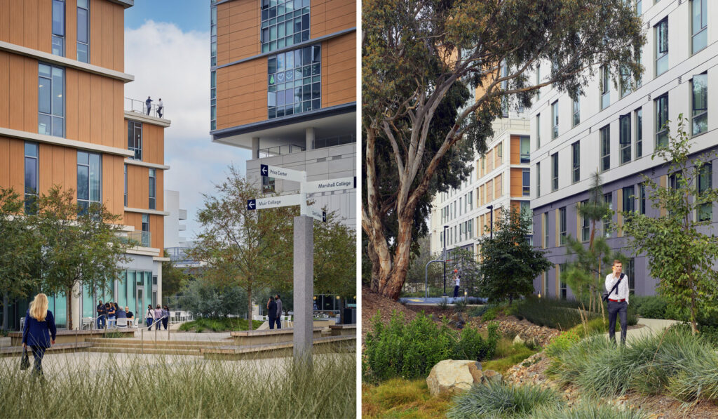 UC_NTP_N81_medium UC_NTP_N81_medium