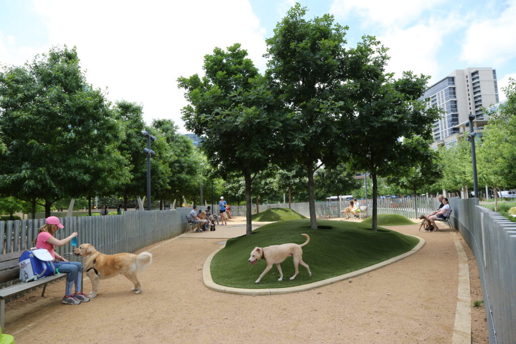 WO_ROG_N74_medium WO_ROG_N74_medium