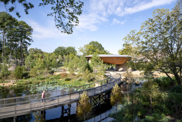 Cary DTP Landscape 38