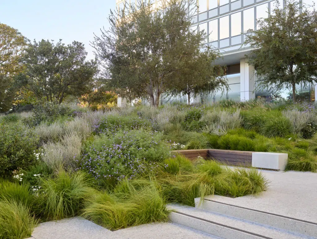 CC_AOS_N16_medium CC_AOS_N16_medium