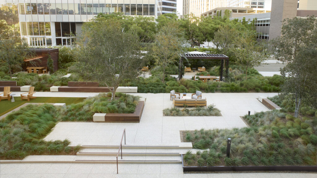 CC_AOS_N17_medium CC_AOS_N17_medium