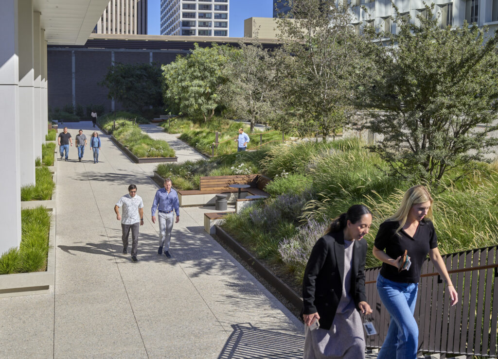 CC_AOS_N18_medium CC_AOS_N18_medium