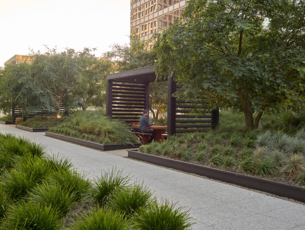 CC_AOS_N20_medium CC_AOS_N20_medium