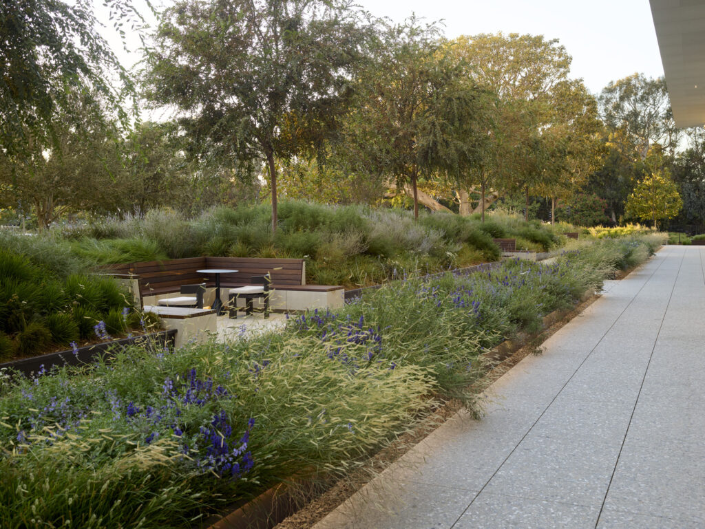 CC_AOS_N21_medium CC_AOS_N21_medium