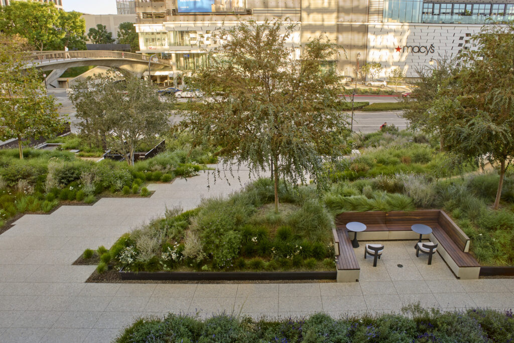 CC_AOS_N22_medium CC_AOS_N22_medium