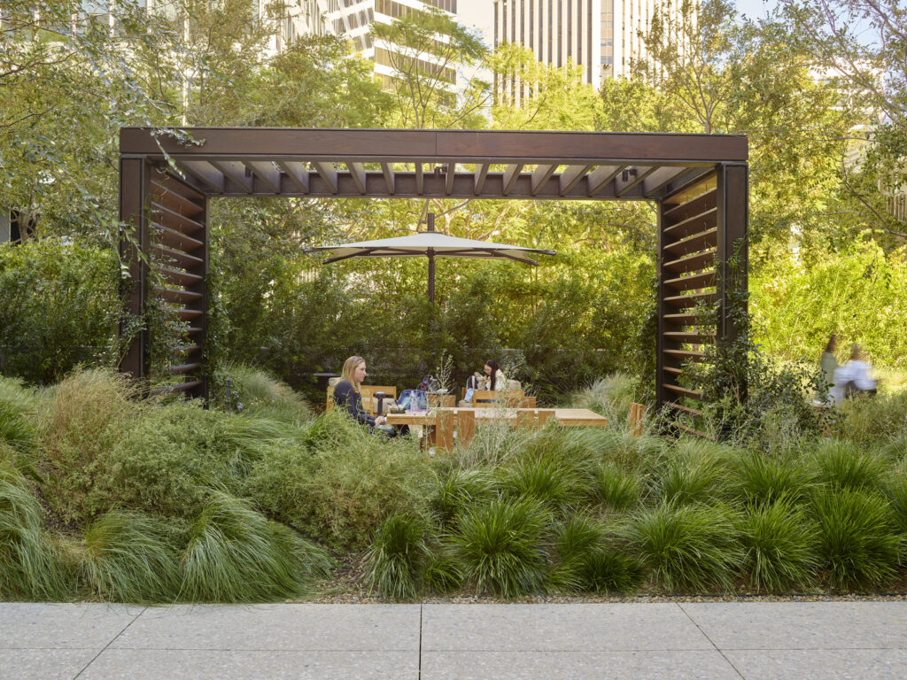 CC_AOS_N23_medium CC_AOS_N23_medium