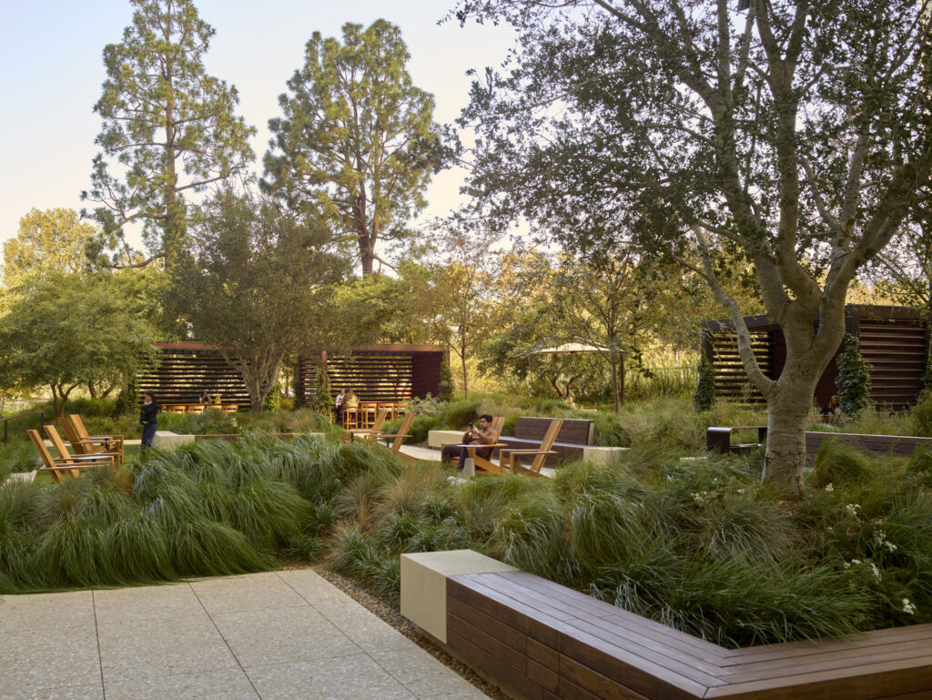 CC_AOS_N24_medium CC_AOS_N24_medium