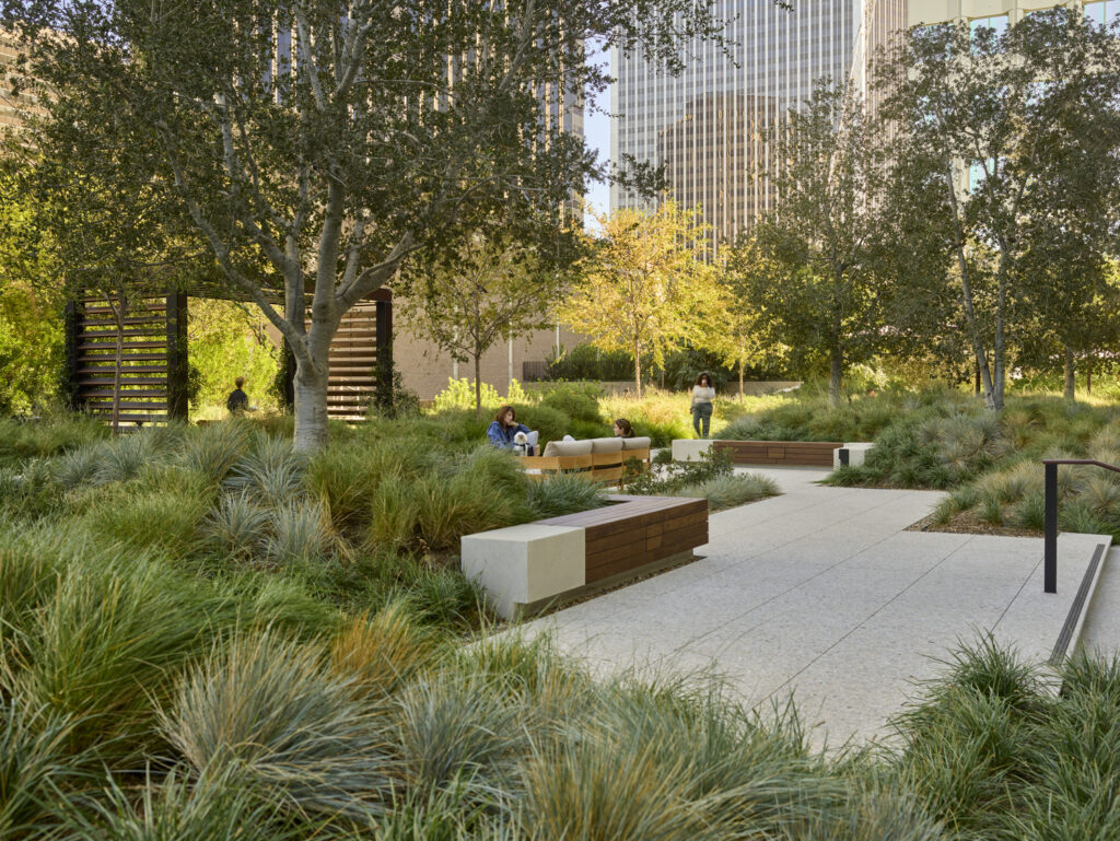 CC_AOS_N25_medium CC_AOS_N25_medium