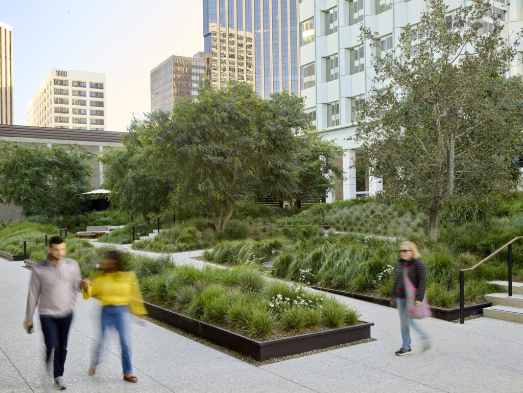 CC_AOS_N29_medium CC_AOS_N29_medium