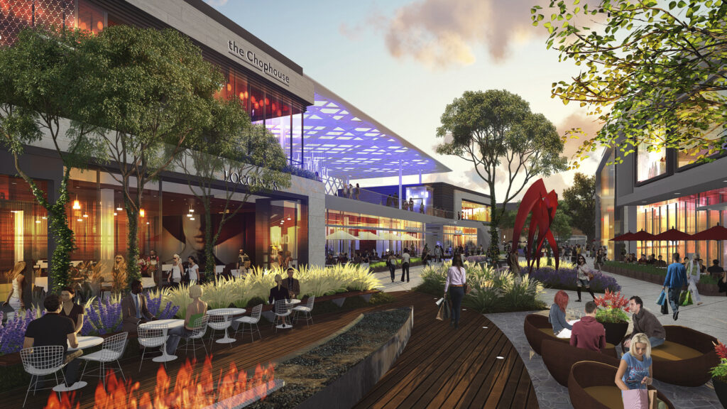 VL_FRM_N8_medium VL_FRM_N8_medium