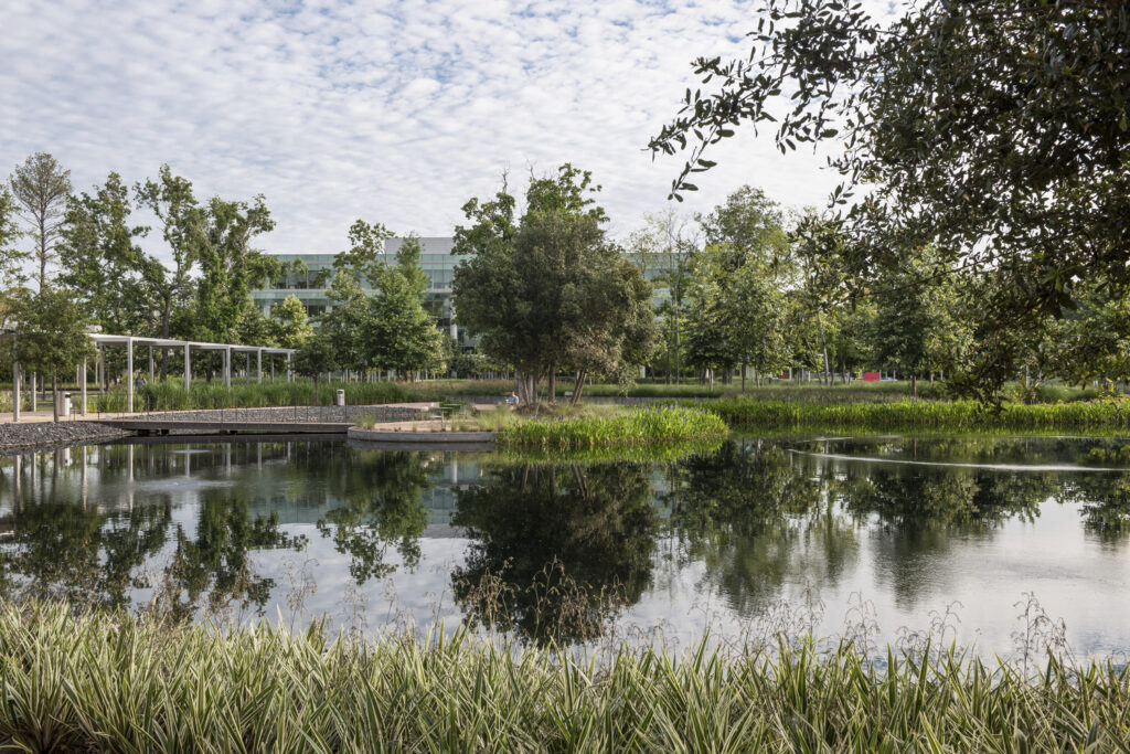 The Office of James Burnett; OJB