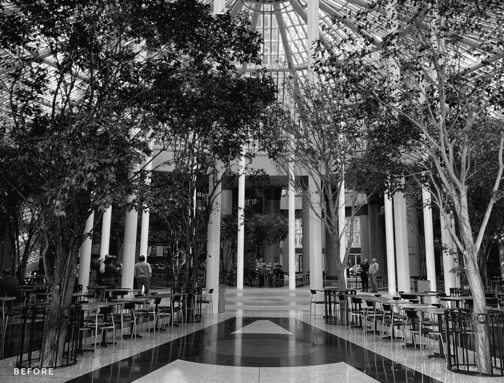 in-pla-before-after-gif