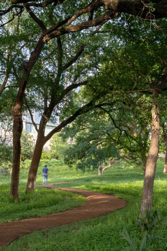 American Airlines-36