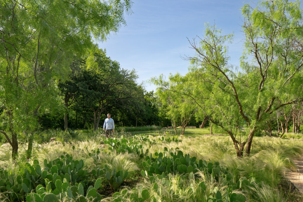 American Airlines-62