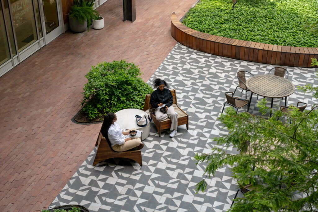 MO_COL_N58 Montrose Collective