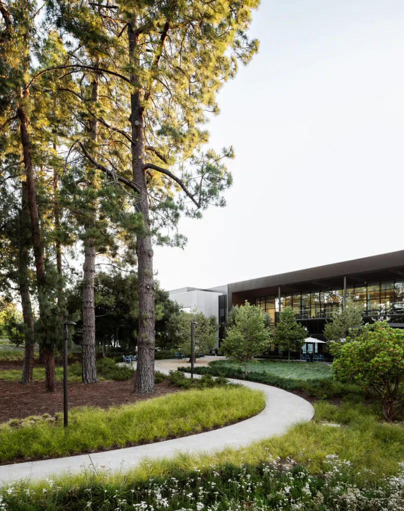 ARC-LowRes-©Mike Kelley-14