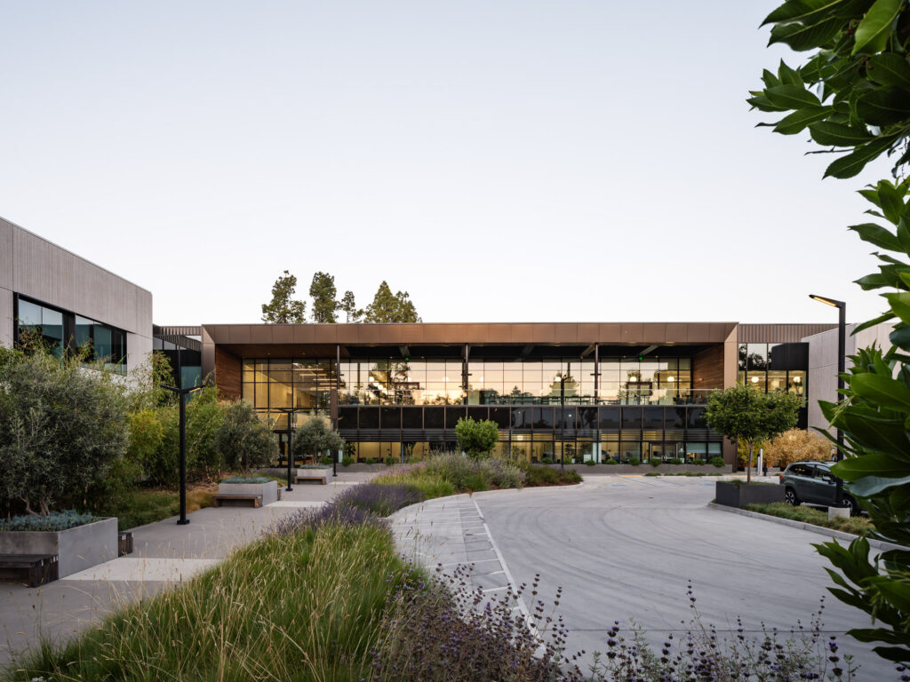 ARC-LowRes-©Mike Kelley-15